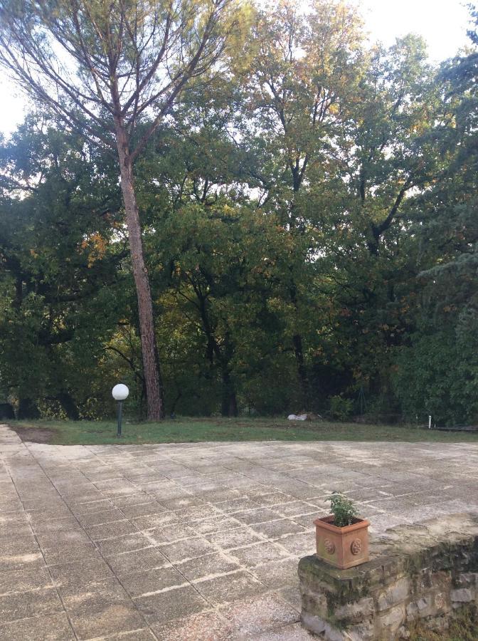 B&B Il Frassino Перуджа Екстер'єр фото