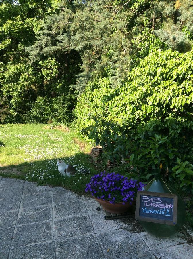 B&B Il Frassino Перуджа Екстер'єр фото