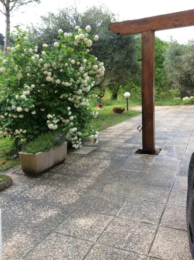 B&B Il Frassino Перуджа Екстер'єр фото